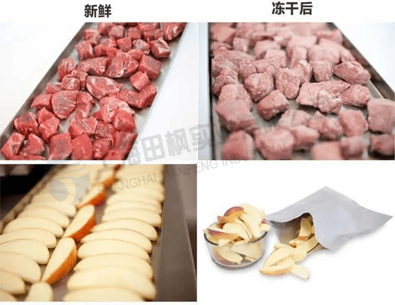 实验室冻干机：实验室真空冷冻干燥机在食品冻干应用