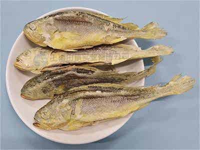海鱼冻干：海鲜冻干机应用黄花鱼冻干优点