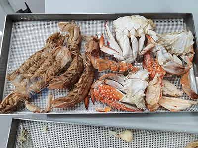 海鲜冻干机：食品真空冷冻干燥机在海鲜冻干加工和研发的设备