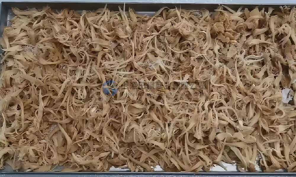 猴头菇冻干：食品真空冷冻干燥技术应用在猴头菇冻干