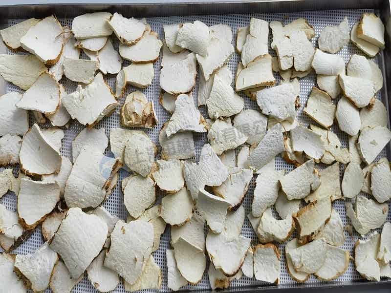 黄精冻干:保健品真空冷冻干燥机应用于黄精冻干