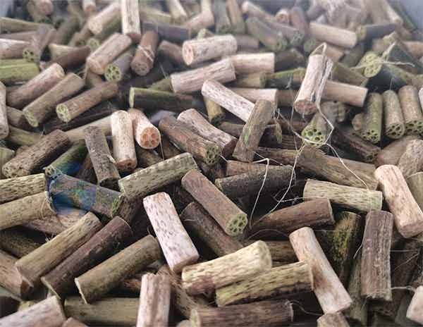 荷梗冻干：小型食品真空冷冻干燥机应用及介绍