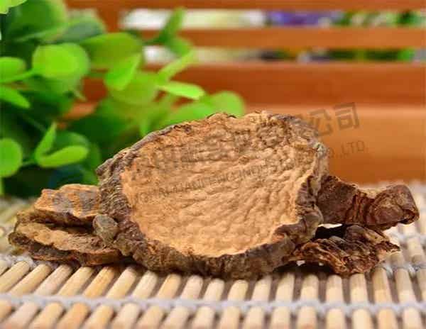 肉苁蓉冻干机：食品冻干机真空冷冻干燥肉苁蓉原理