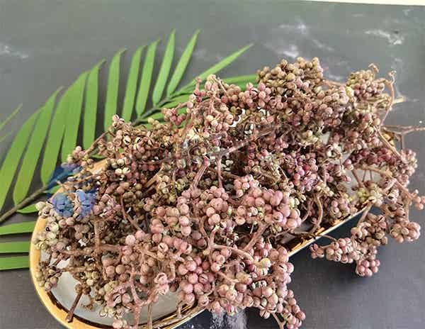 花椒冻干：食品真空冷冻干燥机应用于调味品冻干