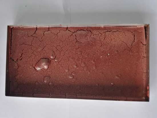 鳄鱼血液冻干