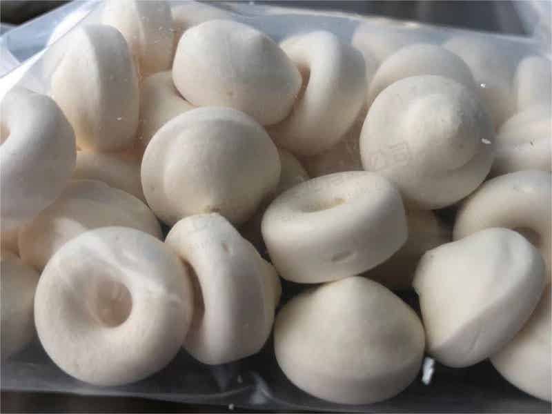 酸奶块冻干：奶制品真空冷冻干燥机原理和冻干优势