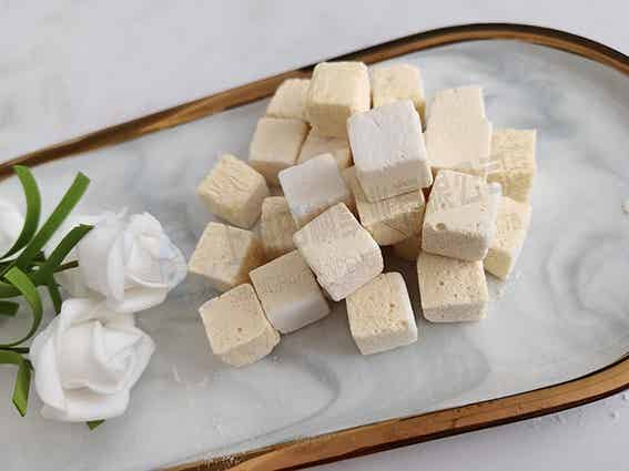 酸奶冻干机：食品真空冷冻干燥机技术应用
