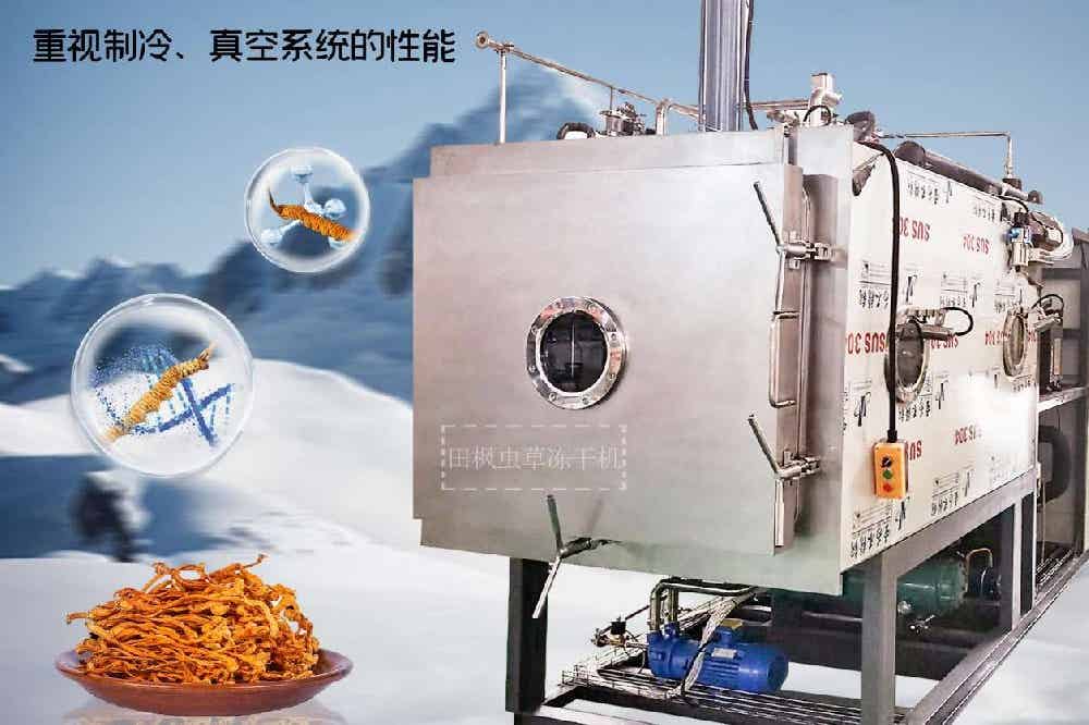 制药冻干机的冻干技术：冬虫夏草的新鲜与活力