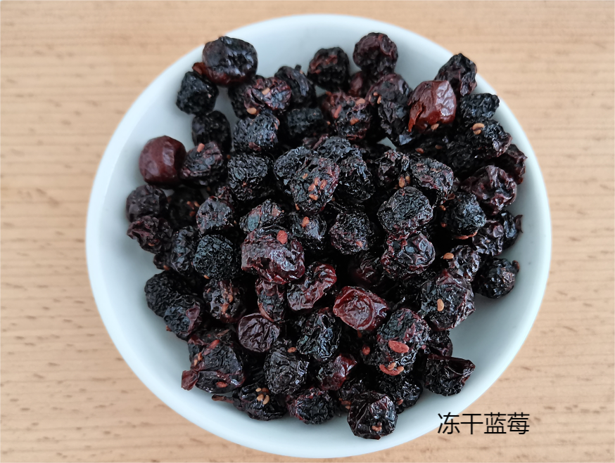 冷冻干燥机保健品活性保留