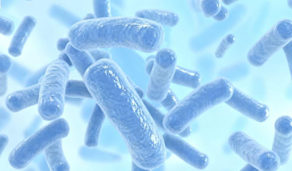 1762306077106952.png 图片 1.png