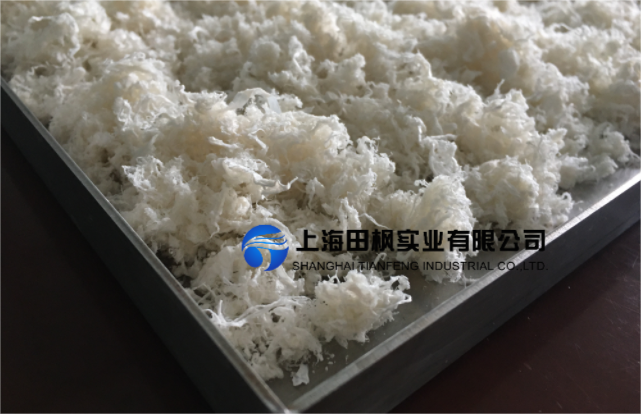 1765432208114926.png 图片 1.png